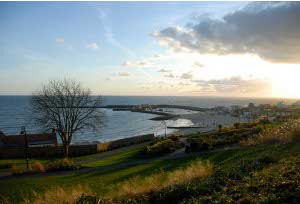 Lyme Regis gardens and Cobb